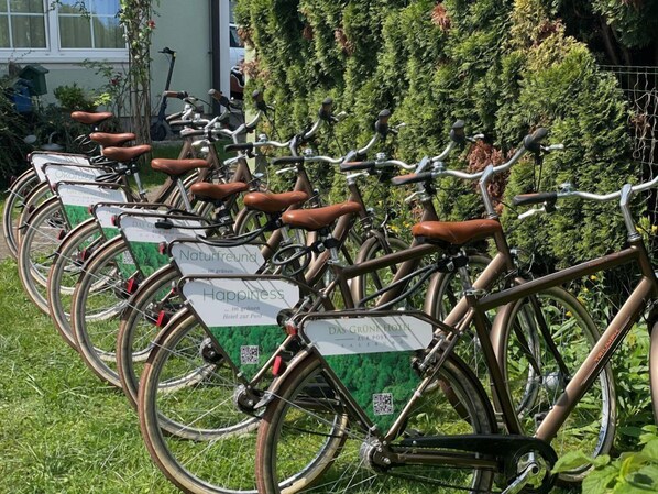 Bicycling - Villa Ceconi by Das Grüne Hotel zur Post (Salzburg)