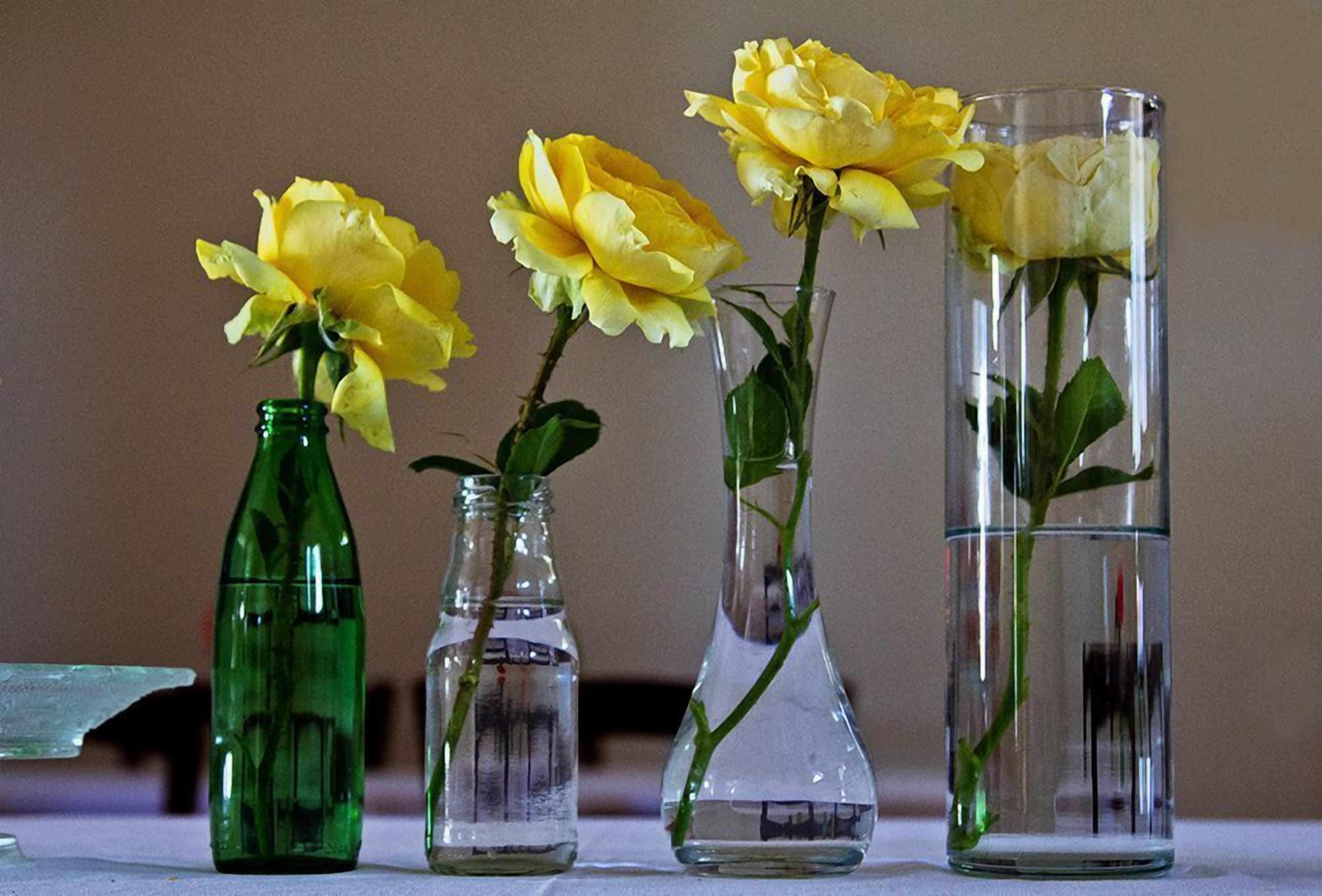 Vier Glasvasen mit gelben Rosen auf einem Tisch.