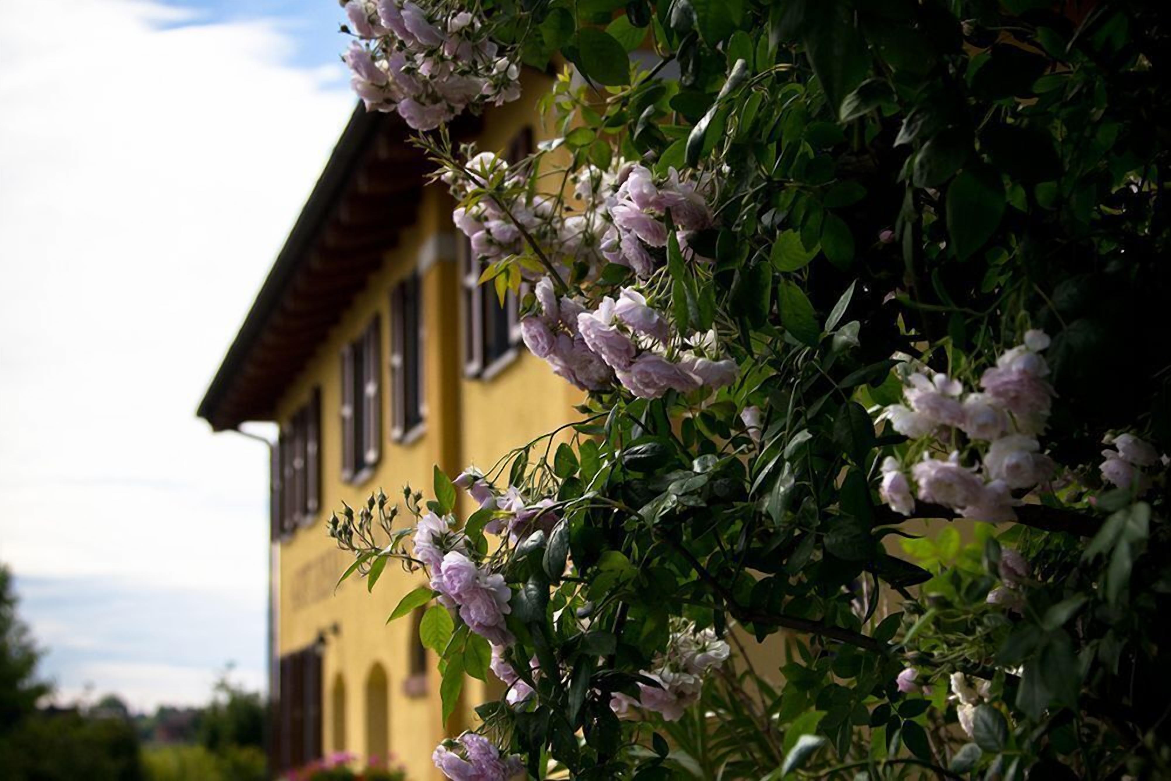 A yellow building with a garden in front.