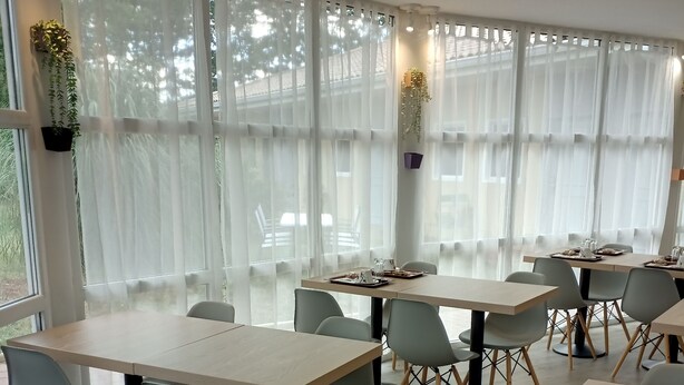 Un espace de restauration moderne avec des tables et des chaises aux couleurs claires, de grandes fenêtres ornées de rideaux légers et des plantes d’intérieur.