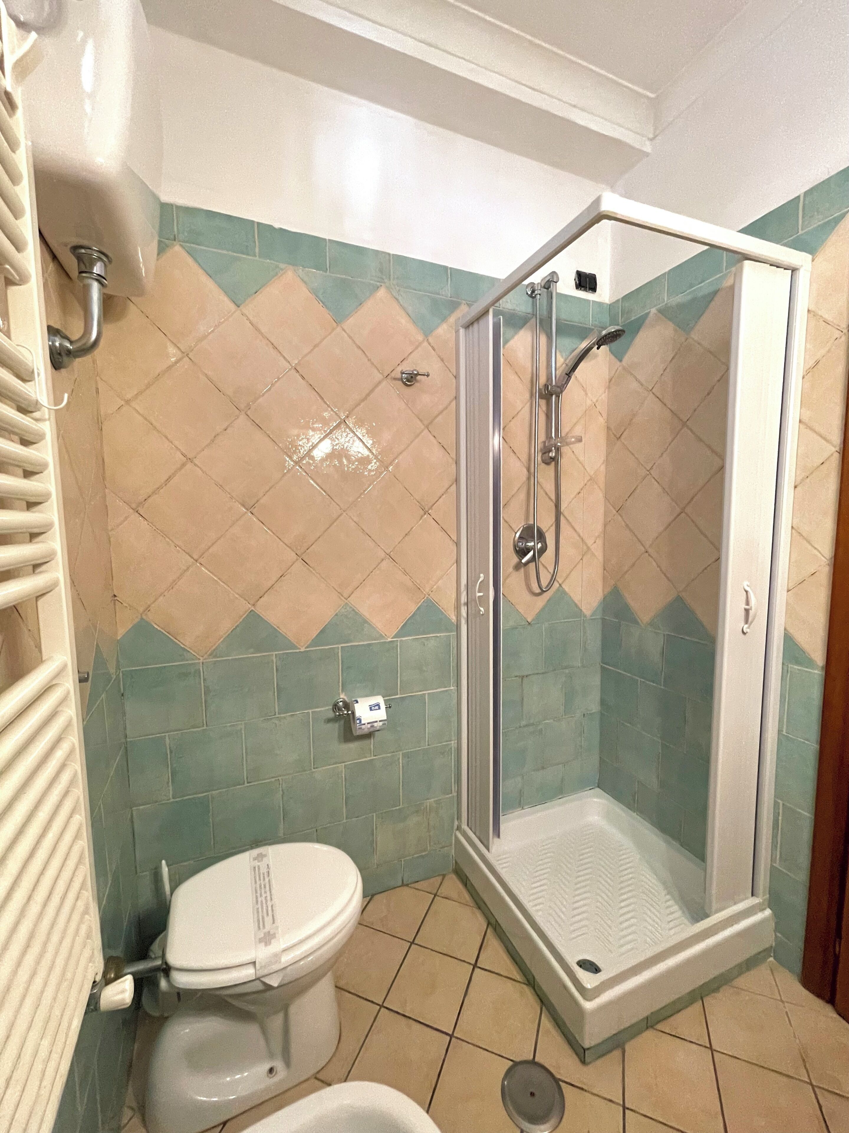 A bathroom with a shower, toilet, and a towel rack.