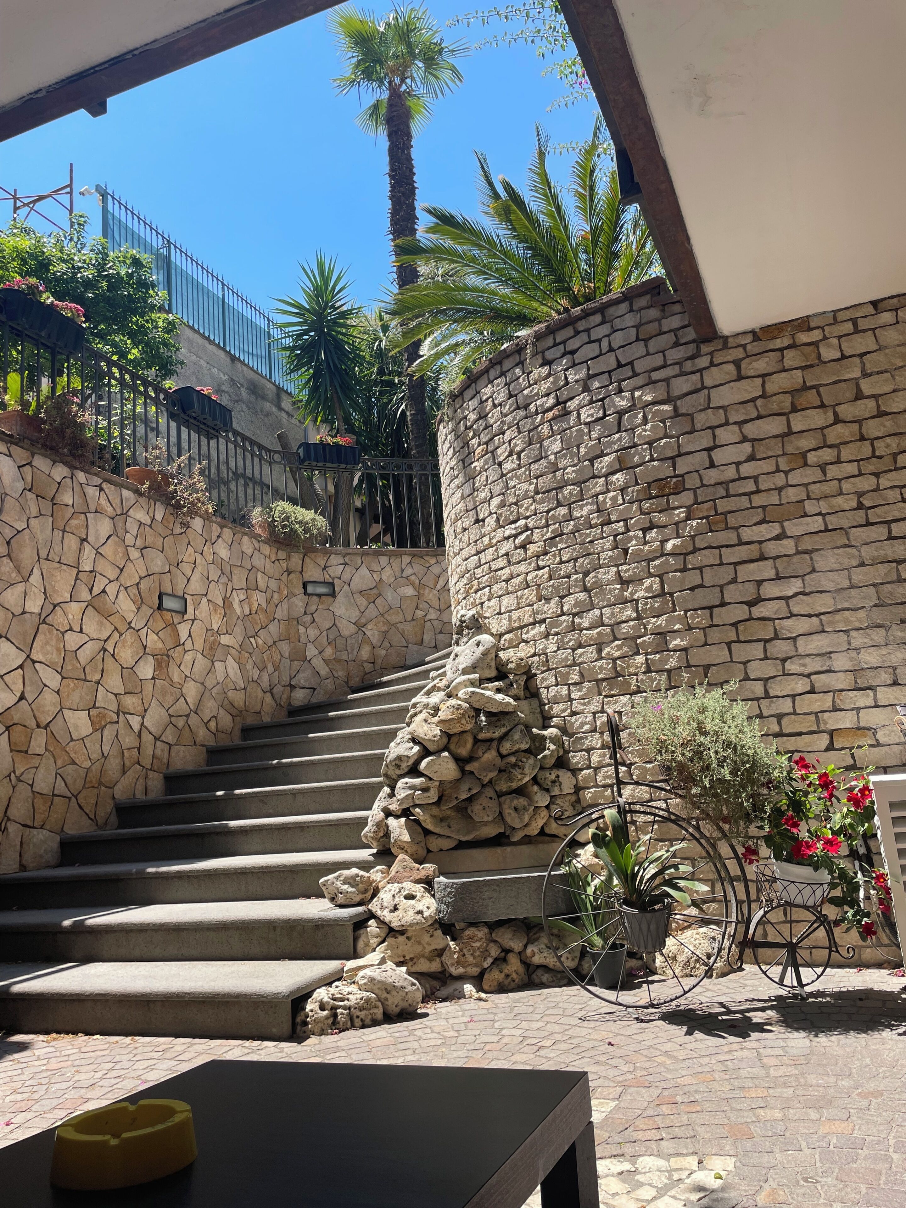 A stone staircase leading up to a building, with a metal fence and a palm tree in the background.