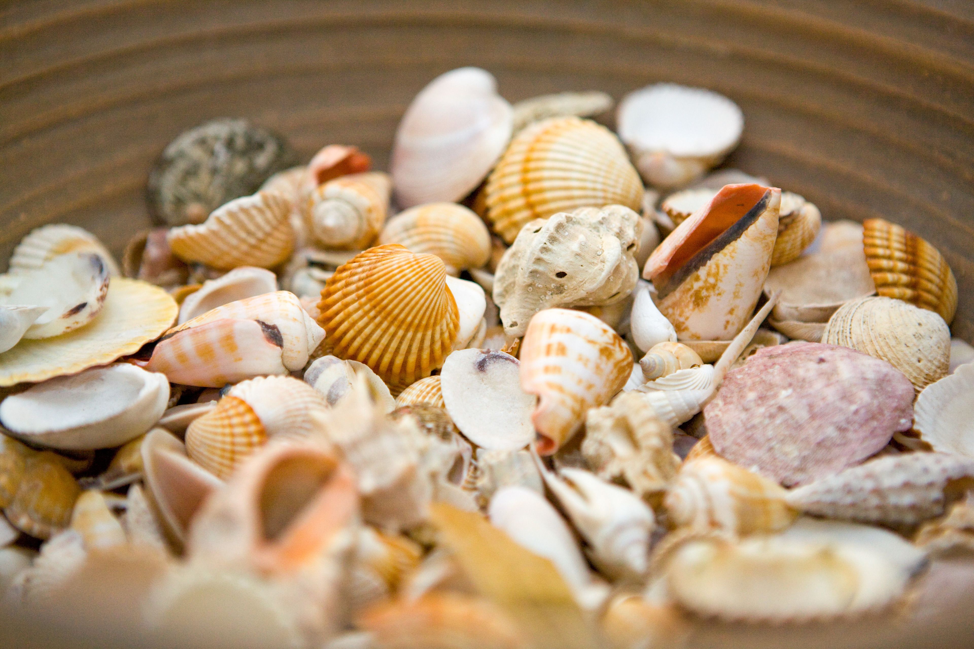 Foto - Hotel Cesario