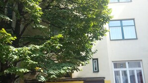 외관