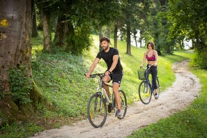 Dos personas andan en bicicleta por un sendero de tierra rodeado de vegetación.