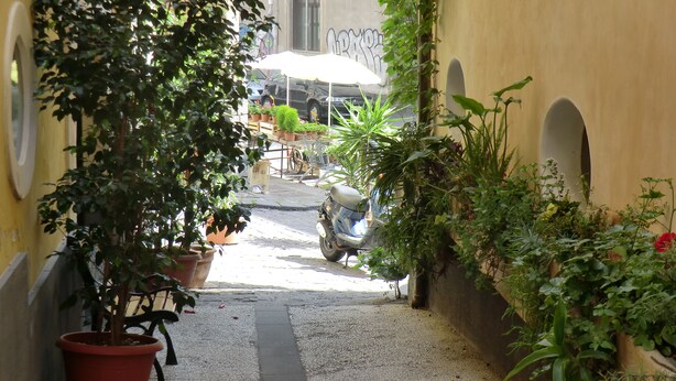 Un estrecho callejón flanqueado por macetas con plantas, con una moto estacionada en el centro, y un edificio con una ventana al fondo.
