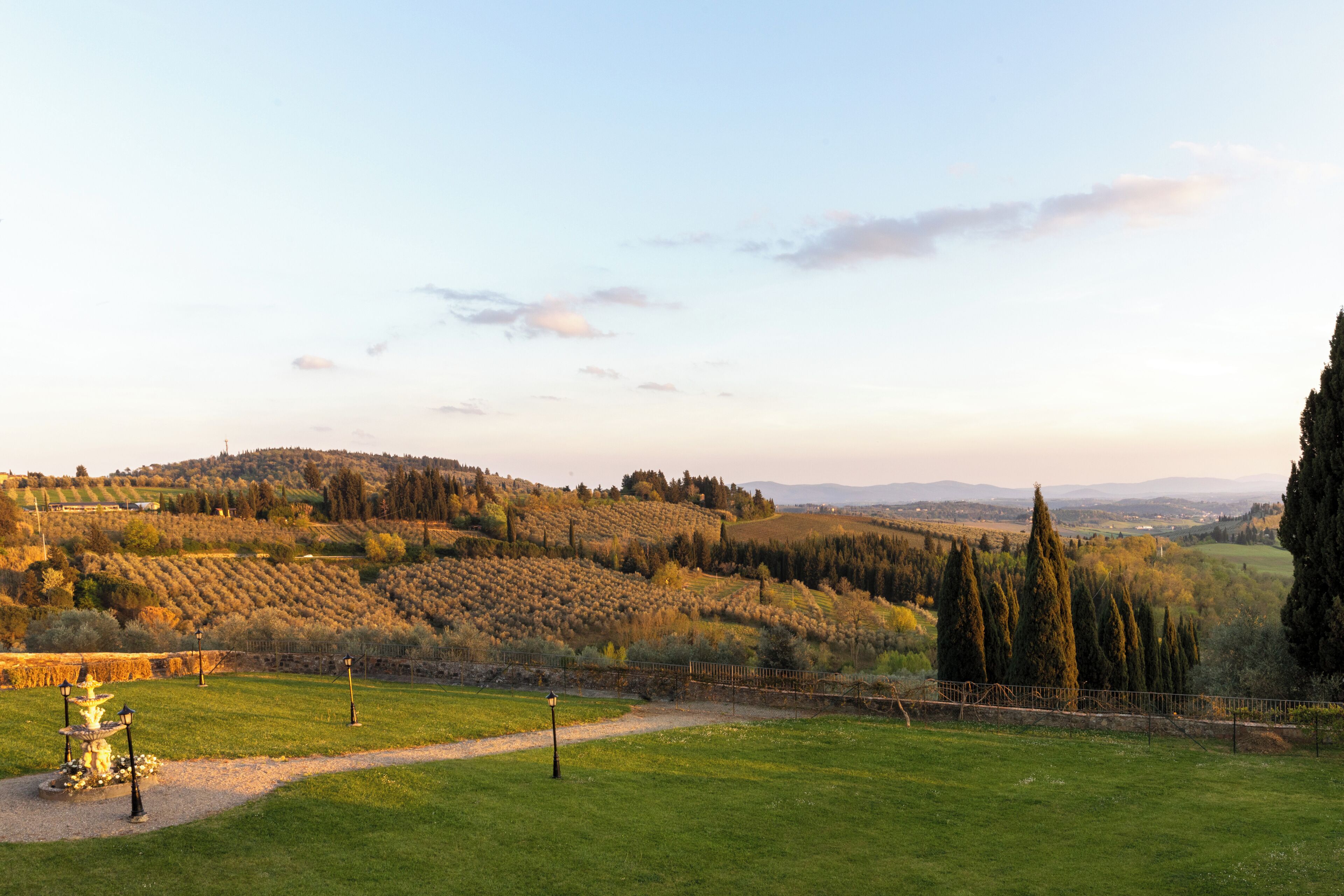 A vineyard landscape with rolling hills, a fence, and a path leading through the greenery.