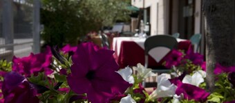 Hotel Scaligero