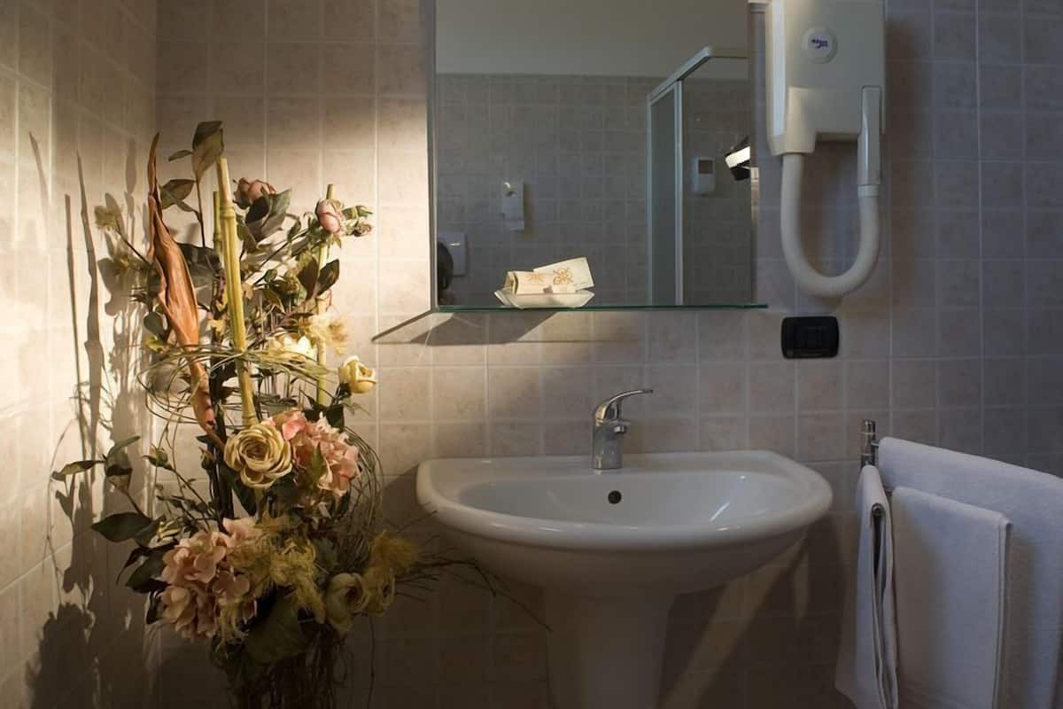 shower, free toiletries, hair dryer, bidet