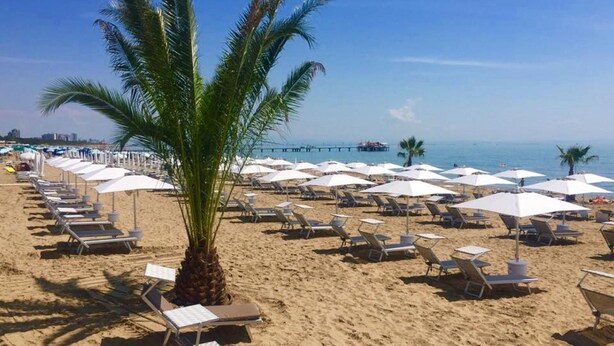 Ein Strand mit Reihen von Liegestühlen und Sonnenschirmen, eine Palme und freie Sicht auf den Ozean.