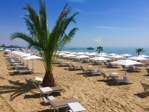 Una playa con filas de tumbonas y sombrillas, una palmera y una vista despejada del océano.