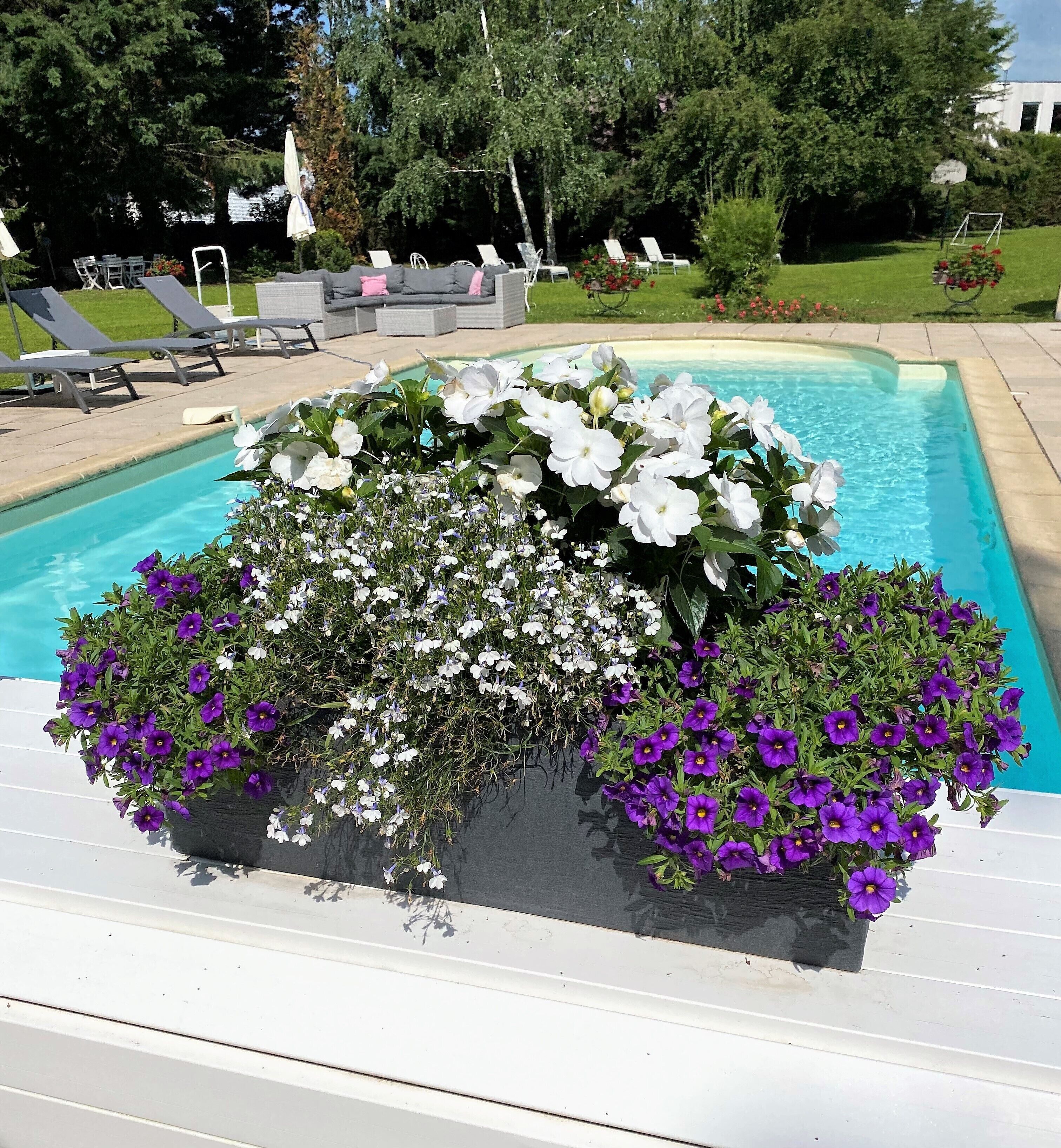 Un espace aménagé au bord de la piscine, avec des chaises longues et un jardinière.