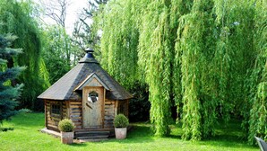 A small wooden cabin with a sloped roof, surrounded by lush greenery and a weeping willow tree.