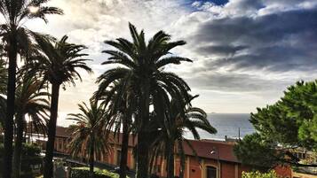 A coastal view with palm trees and a building with a red roof.