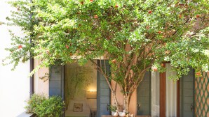 Un árbol con flores rojas frente a un edificio con contraventanas verdes y un banco de madera con adornos.