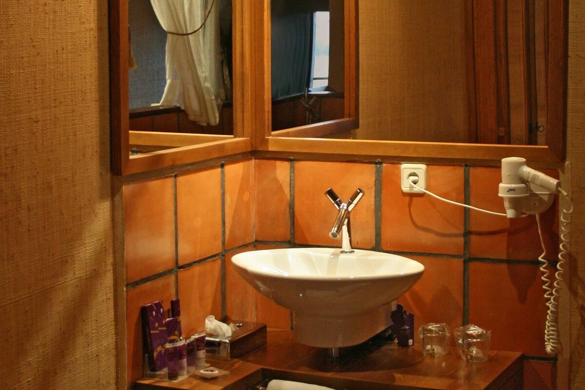 combined shower/bathtub, free toiletries, hair dryer, towels