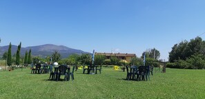 มินิกอล์ฟ