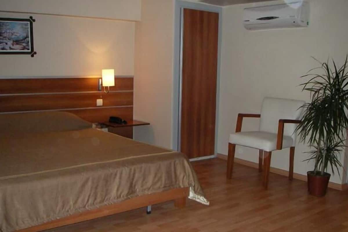 Minibar, accès au Wi-Fi (inclus)
