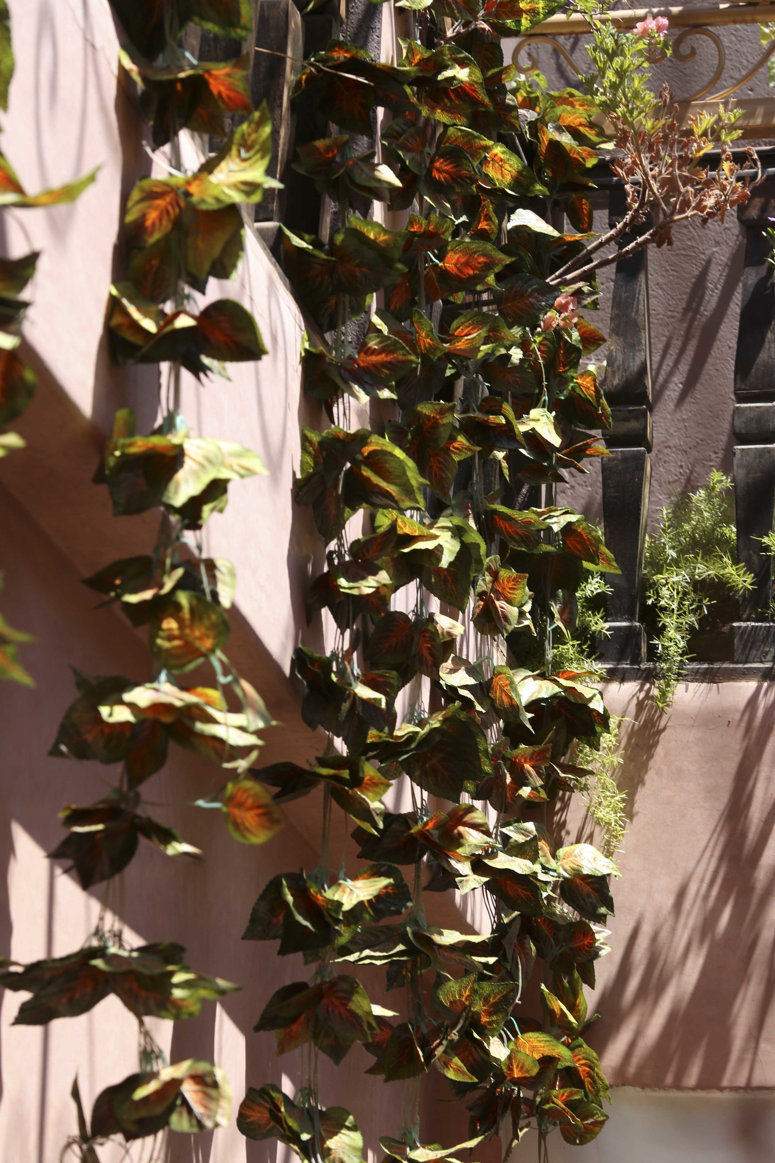 Photo - Riad Mille Et Une Nuits