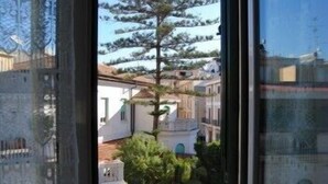 Vista a través de una ventana que muestra un edificio con un árbol grande en primer plano, un edificio blanco con una puerta azul y un cielo despejado.