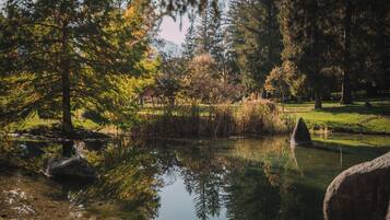 Ein ruhiger Teich, umgeben von Bäumen und Felsen, der die umliegende Vegetation spiegelt.