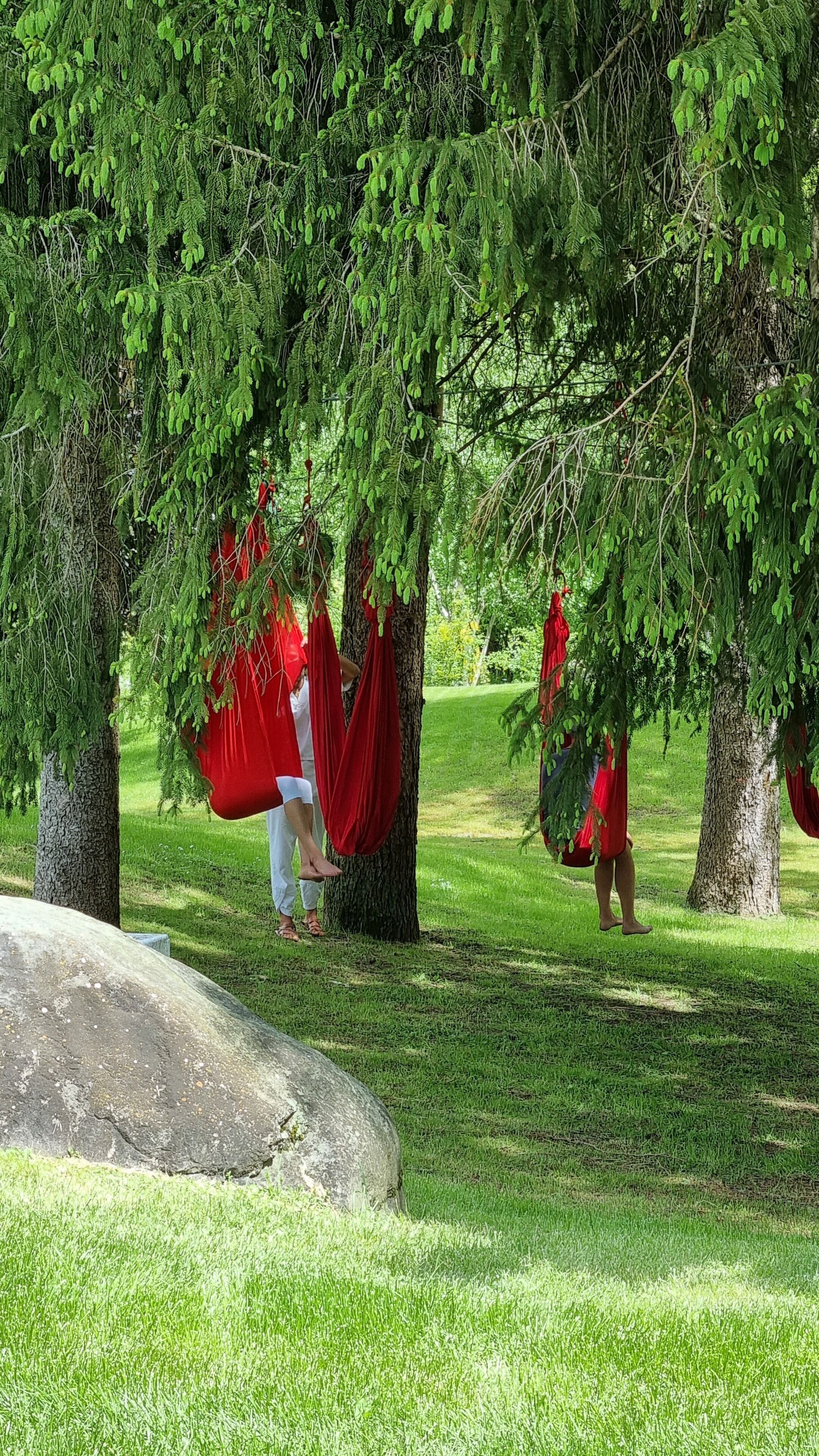 Un parque con árboles y redes colgando.