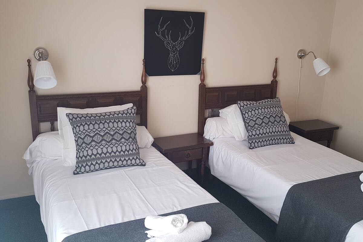 Habitación de hotel con dos camas, cada una con ropa de cama blanca y almohadas estampadas. Sobre las camas, un cuadro con la imagen de una cabeza de ciervo.