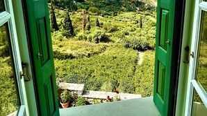 Vista a través de contraventanas verdes abiertas que muestran un paisaje con colinas y cielo despejado.