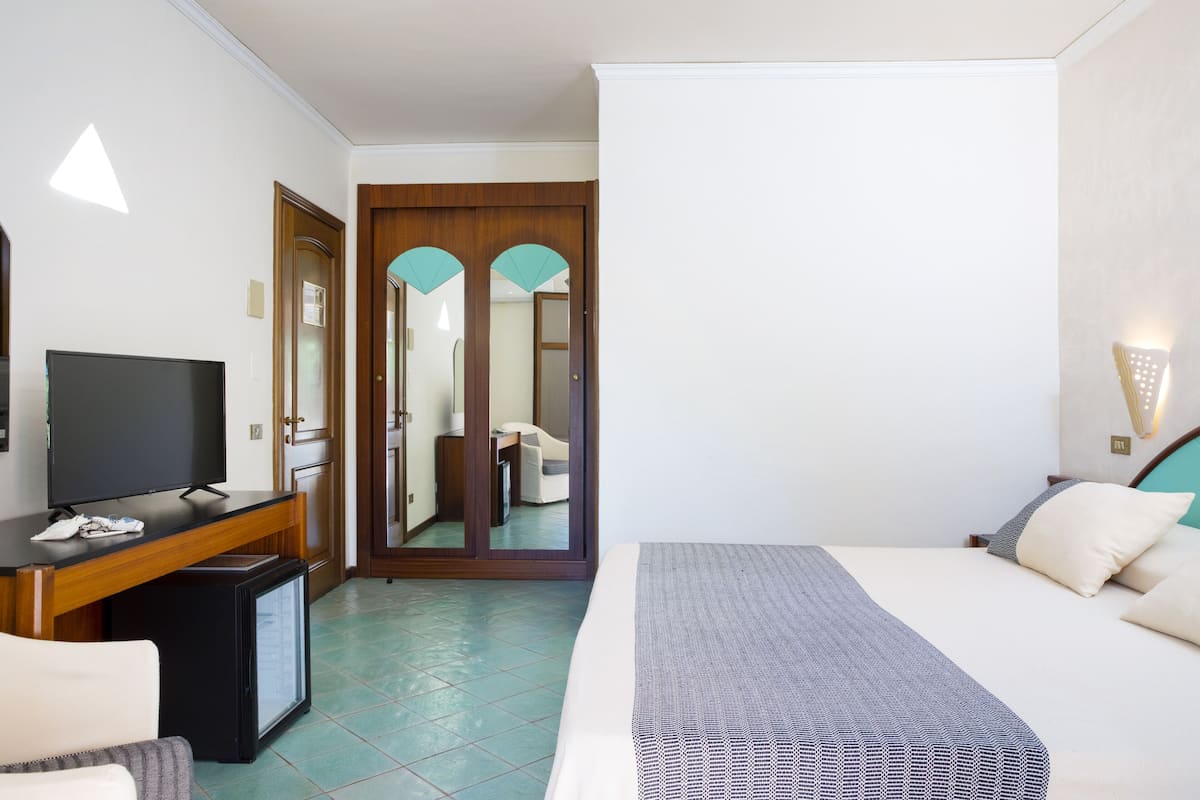 A hotel room with a bed, a TV, a desk, and a mirror.