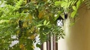 Superior Double Room | Terrace/patio - Arena Inn B&B (Verona)