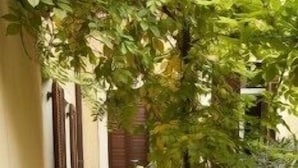 Terrace/patio - Arena Inn B&B (Verona)