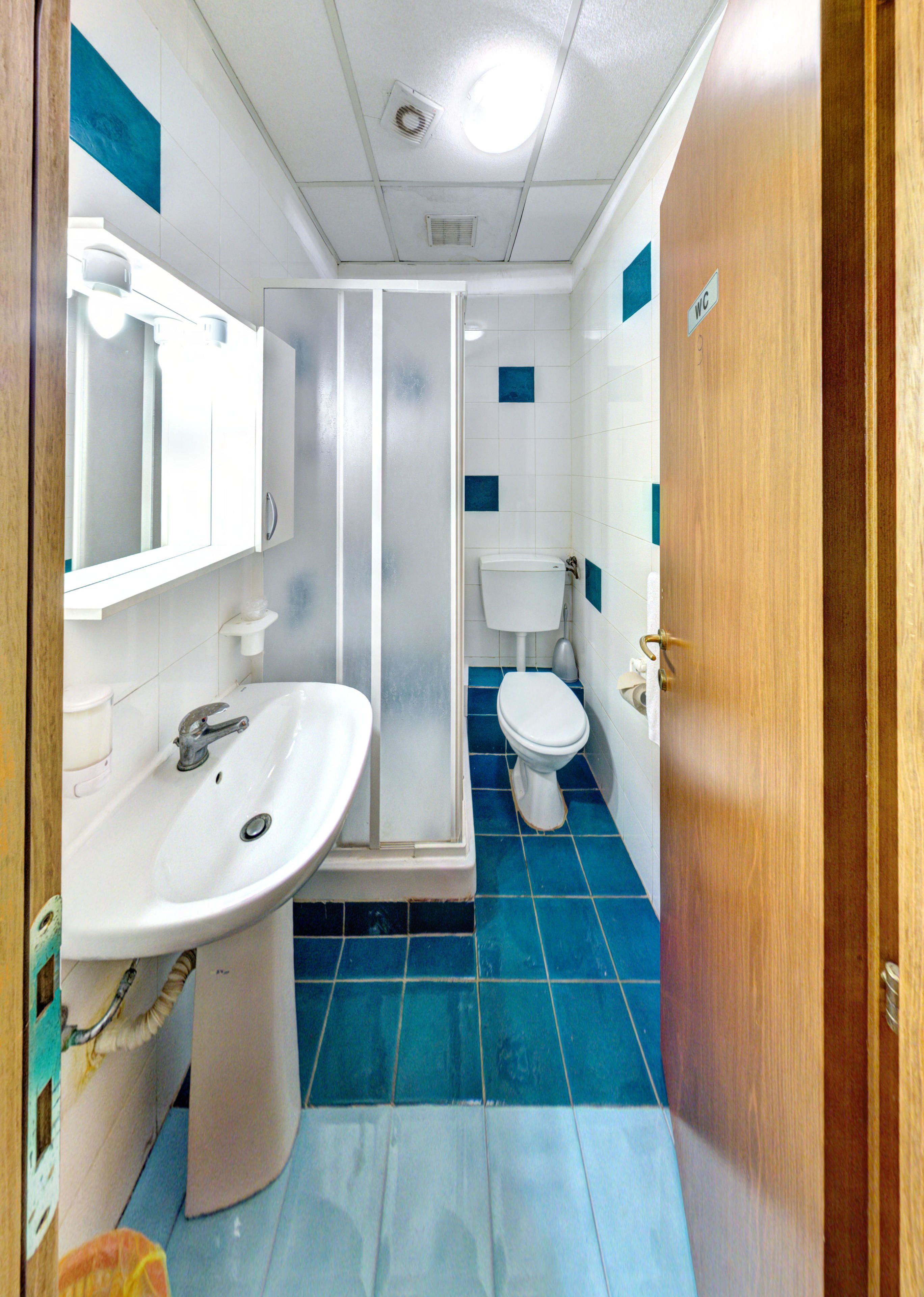 Une salle de bain avec un lavabo blanc, un miroir, des toilettes et un espace douche.