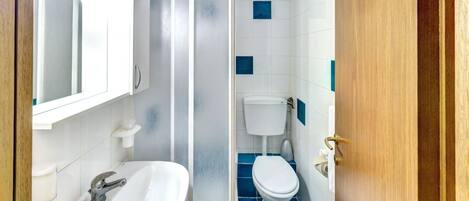 Une salle de bain avec un lavabo blanc, un miroir, des toilettes et un espace douche.