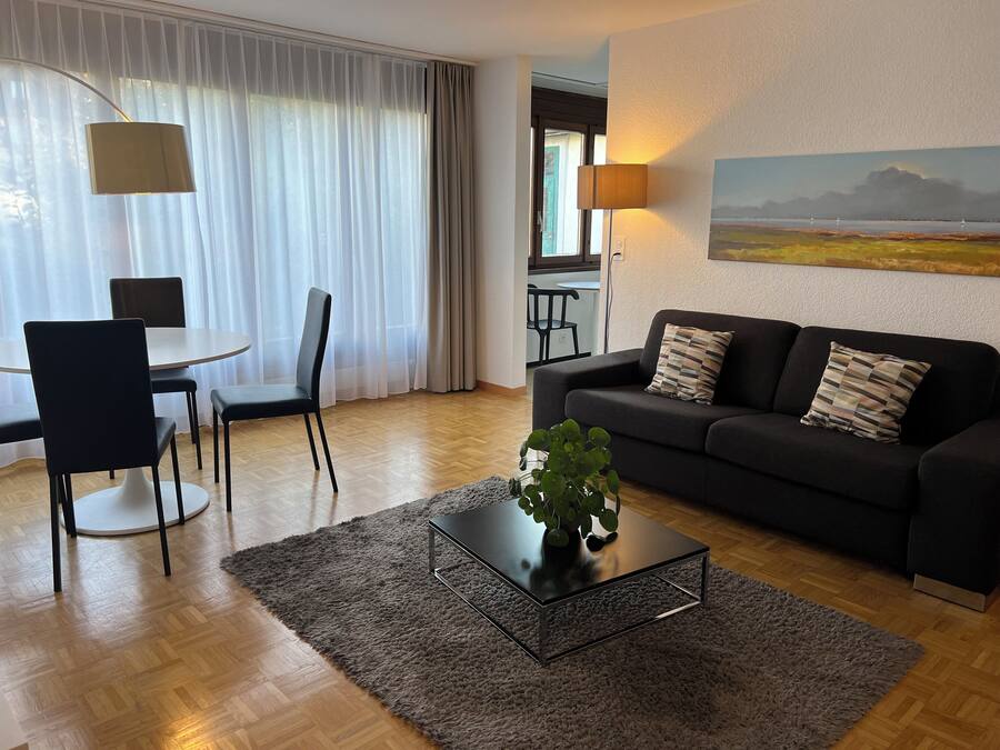 A modern living room with a black sofa, a coffee table, and a dining area with chairs and a table.