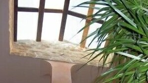 A room with a high ceiling, a skylight, and a potted plant. - Sikania Suite (Pozzallo)