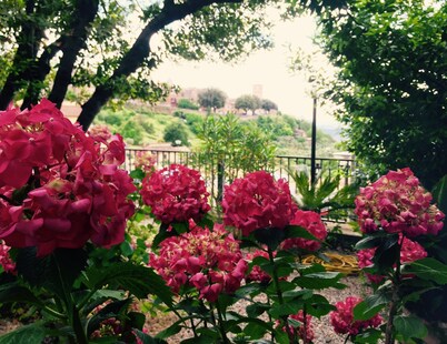 Umbria