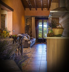 Căn hộ (Podall) | Khu phòng khách | TV plasma, lò sưởi, đầu đĩa DVD, máy vi tính 