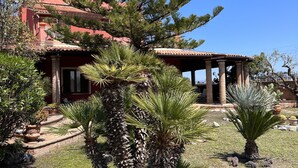 Una casa con techo rojo, un gran pino en el jardín delantero y una palmera.