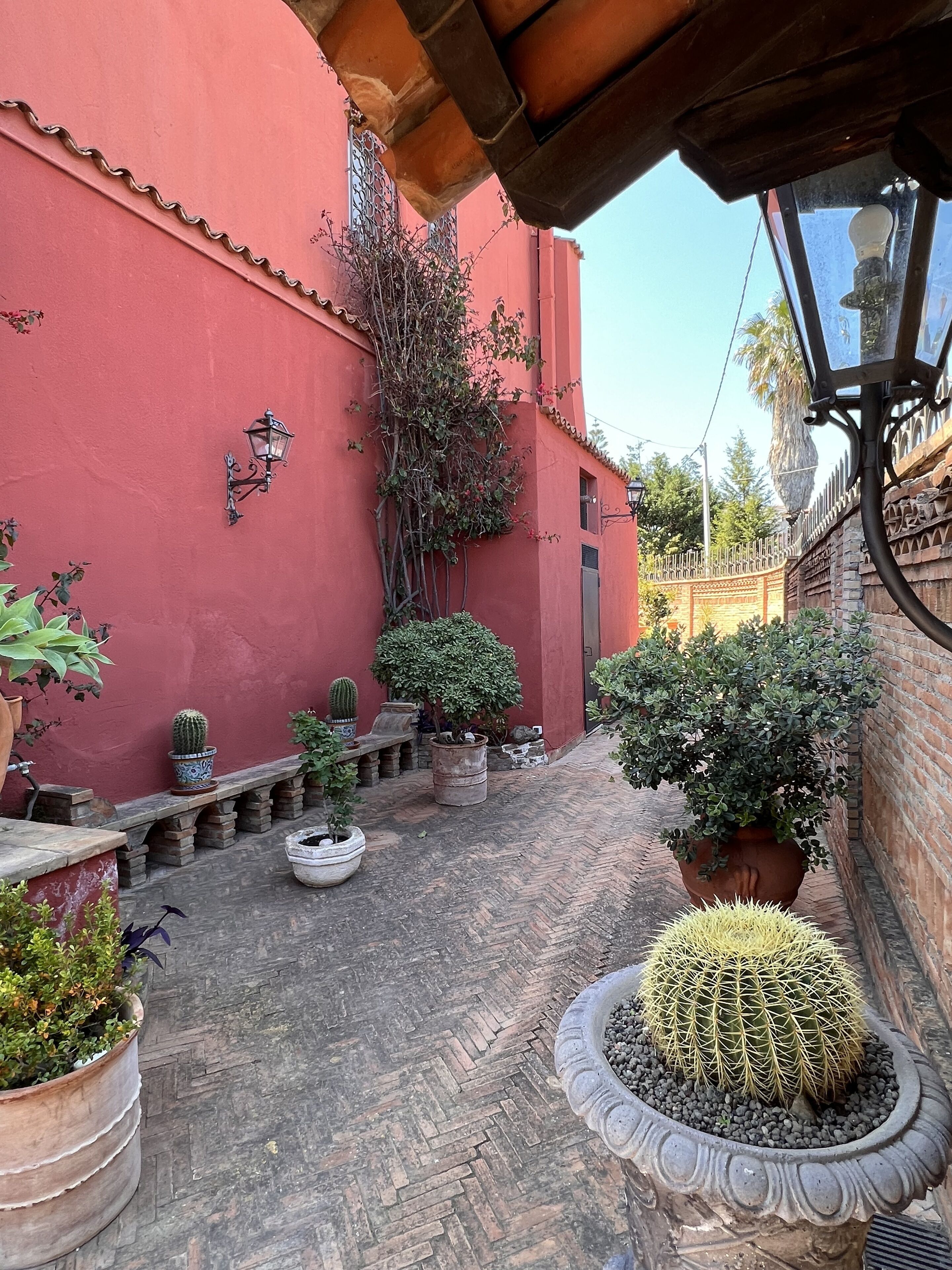 A courtyard with potted plants, a red wall, and a tiled floor.