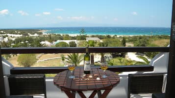 Beach/ocean view