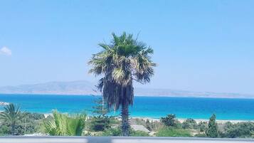 Panoramic Double Room, Sea View | Terrace/patio