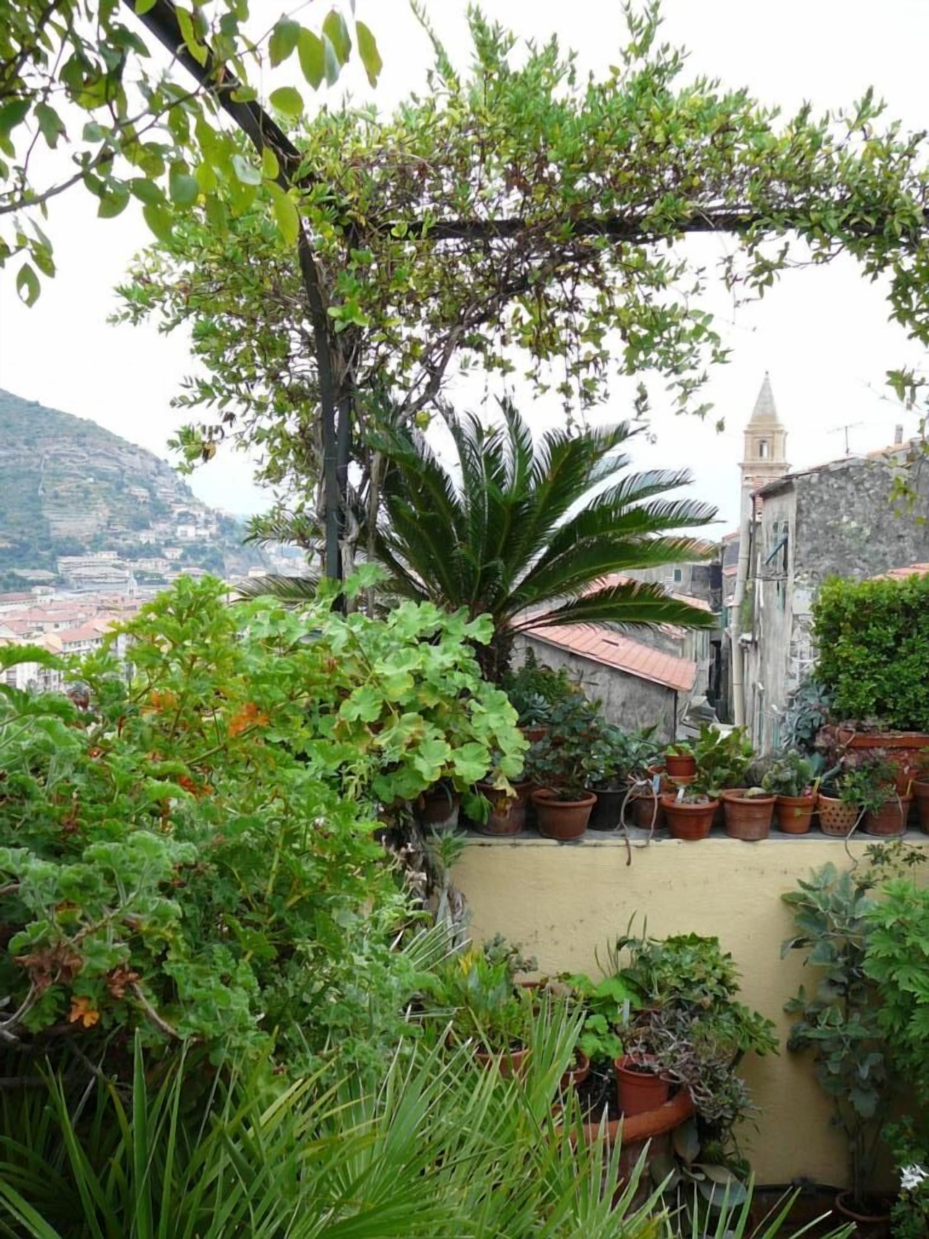 Photo - La Terrazza dei Pelargoni B&B