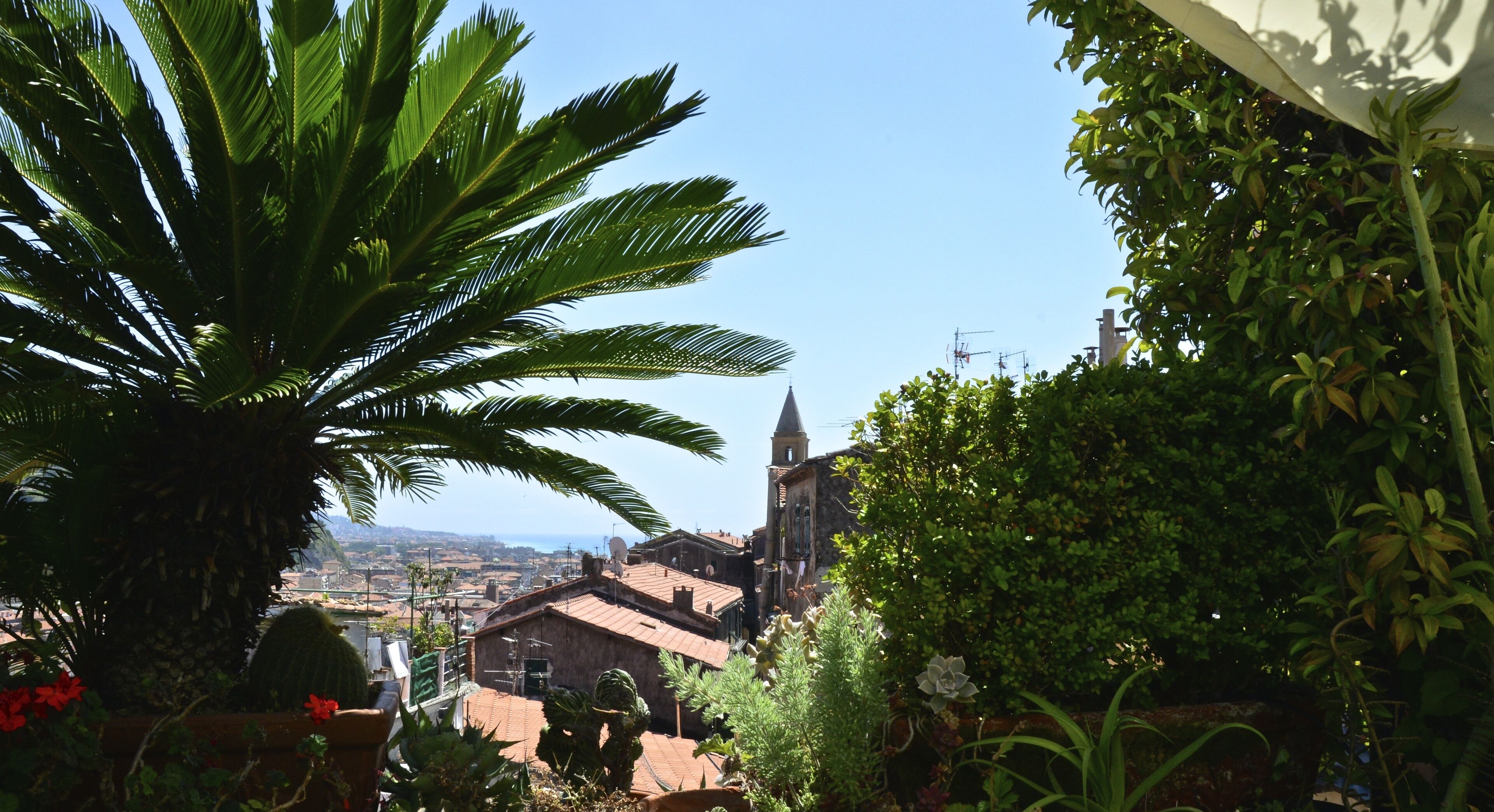 Vista dalla struttura