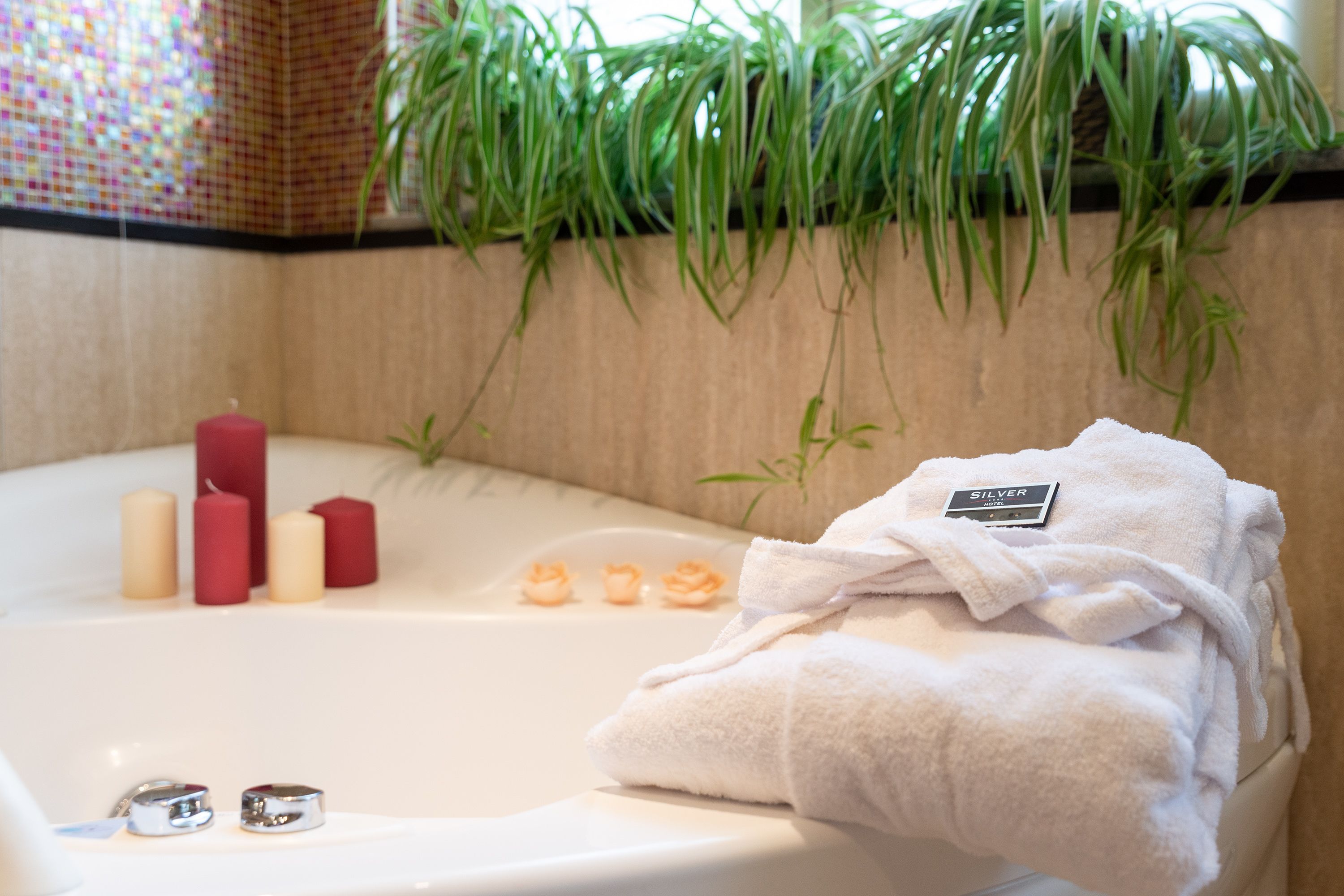 suite, hot tub | jetted bathtub