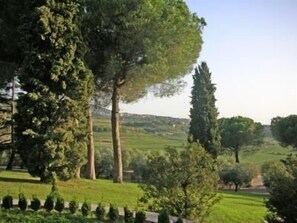 A landscape with a variety of trees and a grassy area. - Tenuta di Pietra Porzia (Frascati)