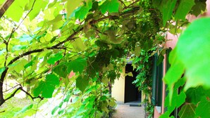 A narrow brick pathway flanked by lush green foliage and a building with a dark entrance. - Hotel Residence Montelago (Ternate)