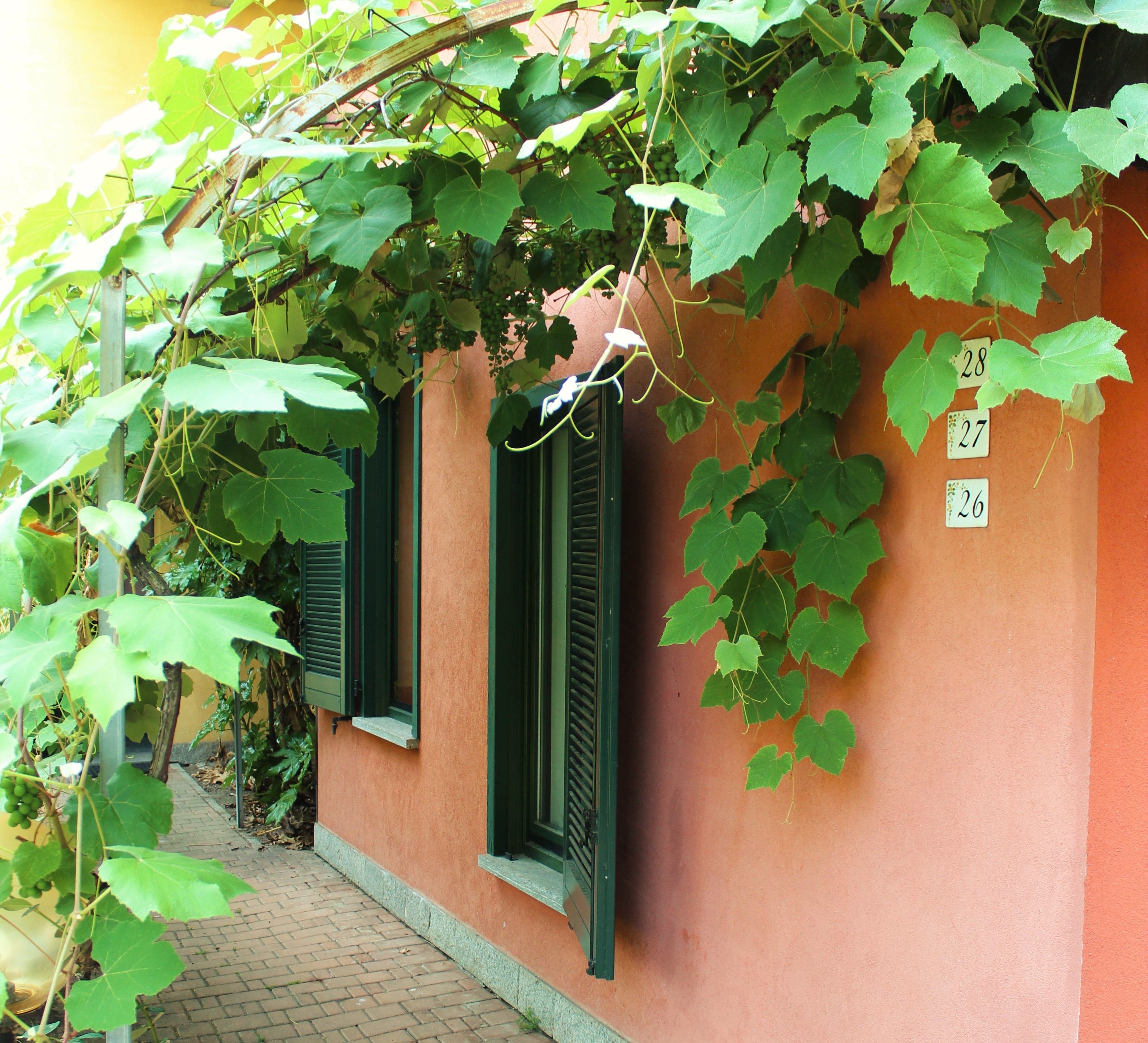 Ein Gebäude mit grünen Fensterläden und üppigem Efeu an den Fenstern.