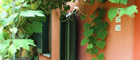 Um edifício com persianas verdes e trepadeiras cobrindo as janelas.