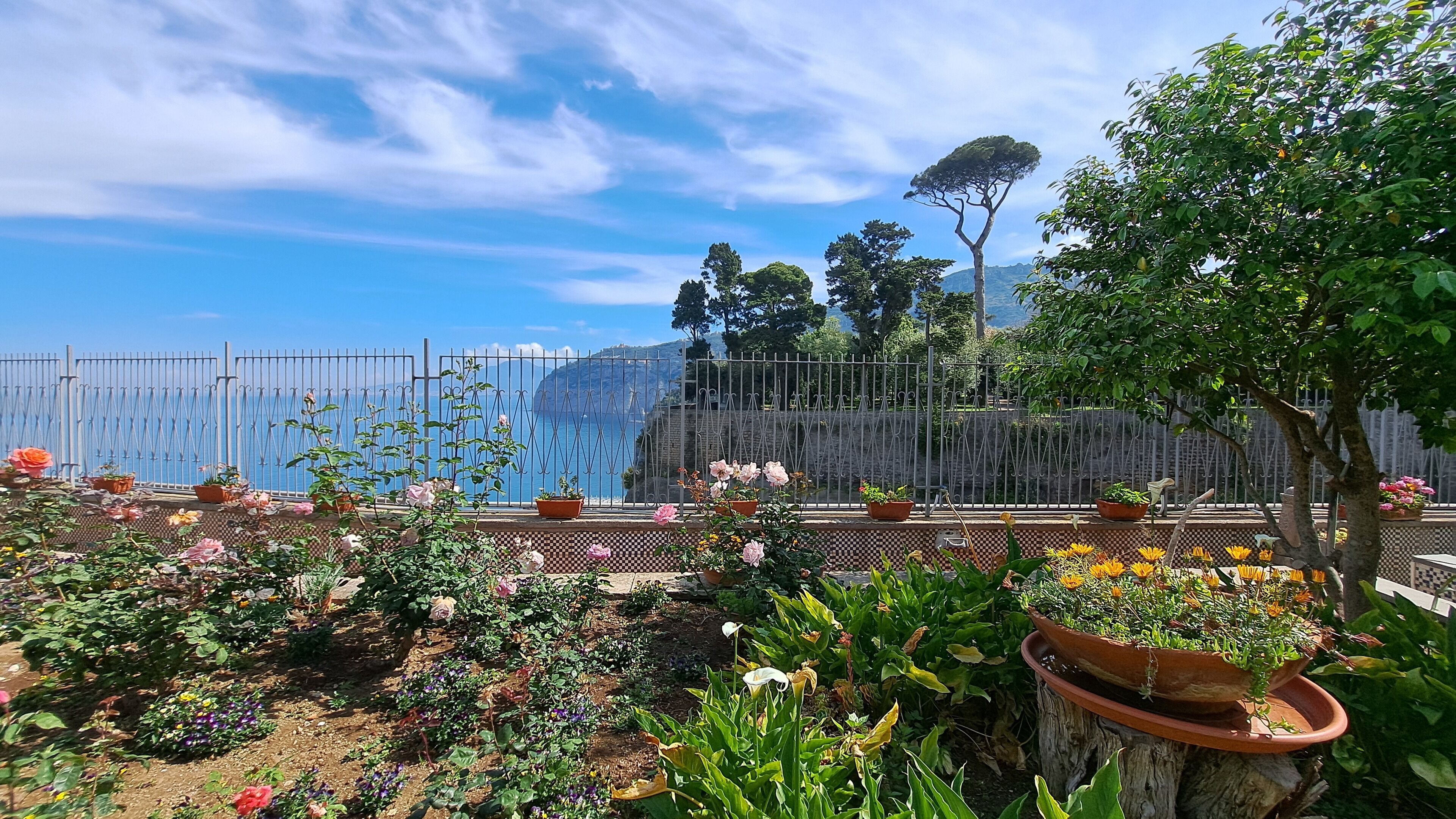 A garden with various plants and flowers, a metal fence, and a view of the sea and mountains in the background.