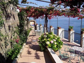 Property grounds - Domus San Vincenzo - Casa Religiosa di Ospitalità (Sant'Agnello)